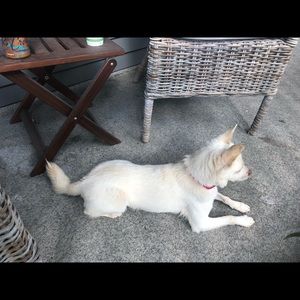 Meet your Posher, Lyndsay